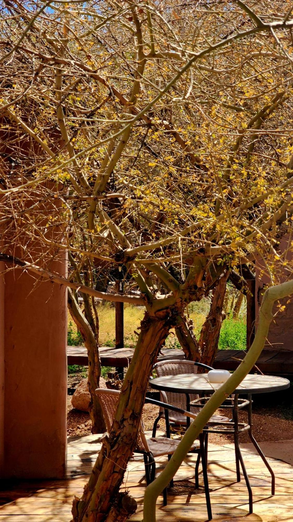 Hotel Tulor San Pedro De Atacama Extérieur photo
