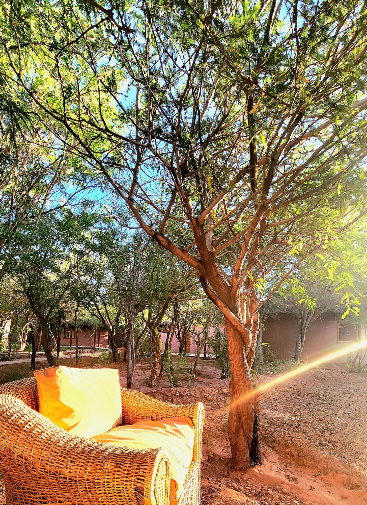 Hotel Tulor San Pedro De Atacama Extérieur photo