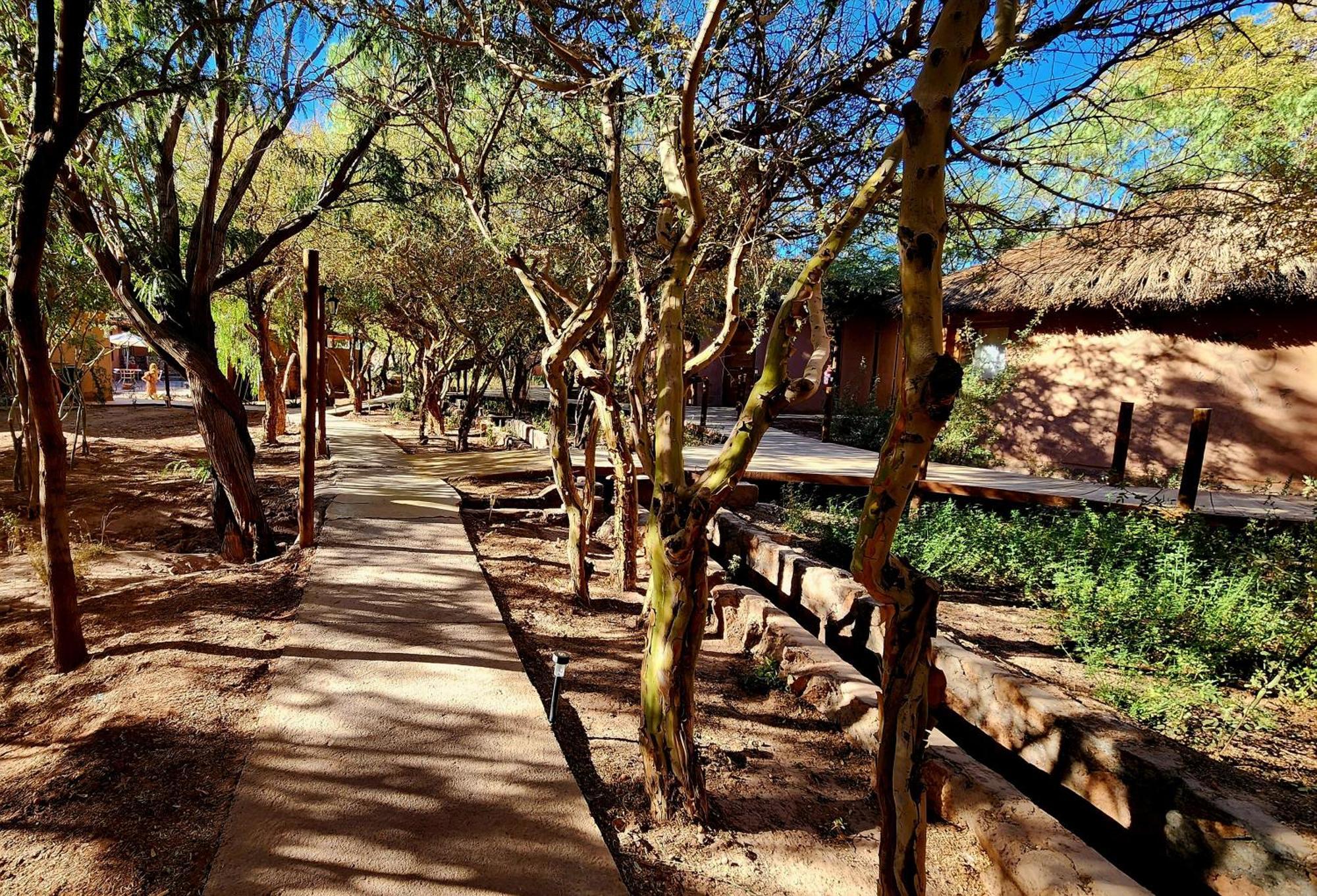 Hotel Tulor San Pedro De Atacama Extérieur photo
